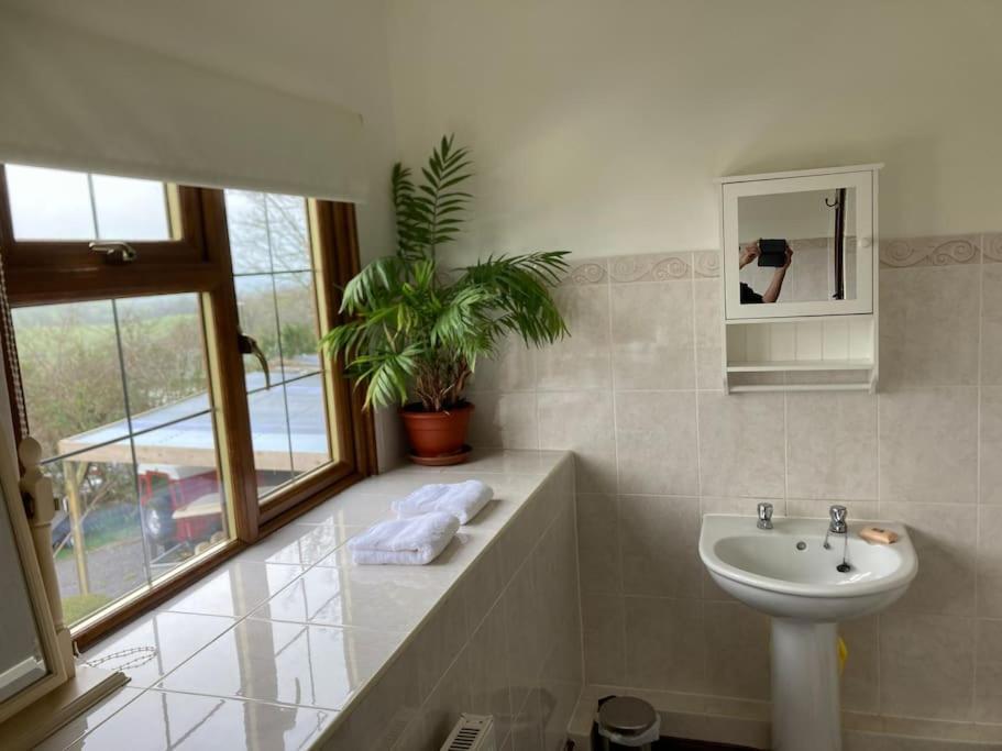 Bryntirion Farmhouse Rooms Llanfair Caereinion Exterior foto